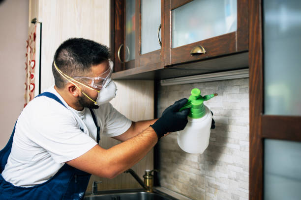 Best Affordable Pest Control Services  in Kinnelon, NJ