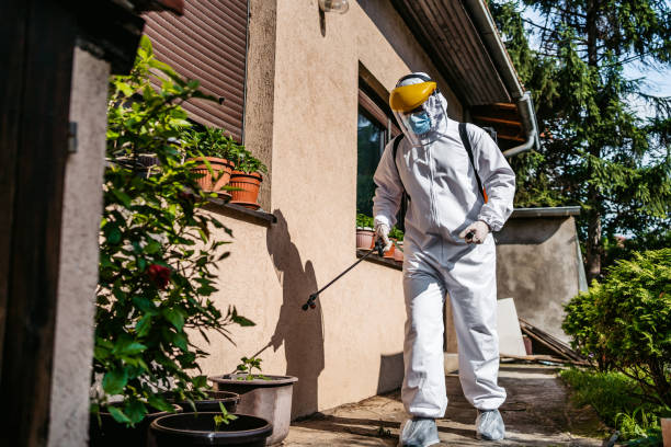 Best Mosquito Control Services  in Kinnelon, NJ