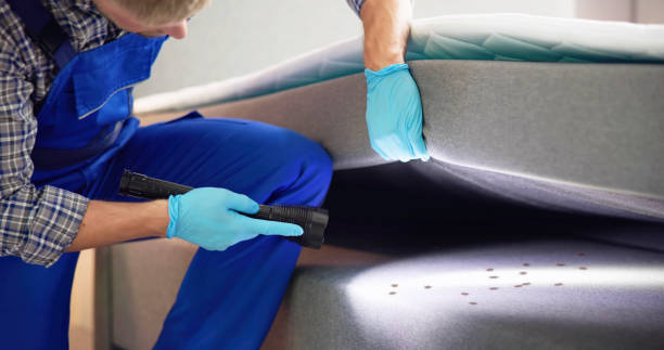 Best Rat Extermination Near Me  in Kinnelon, NJ