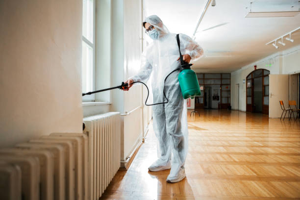 Best Affordable Pest Control Services  in Kinnelon, NJ